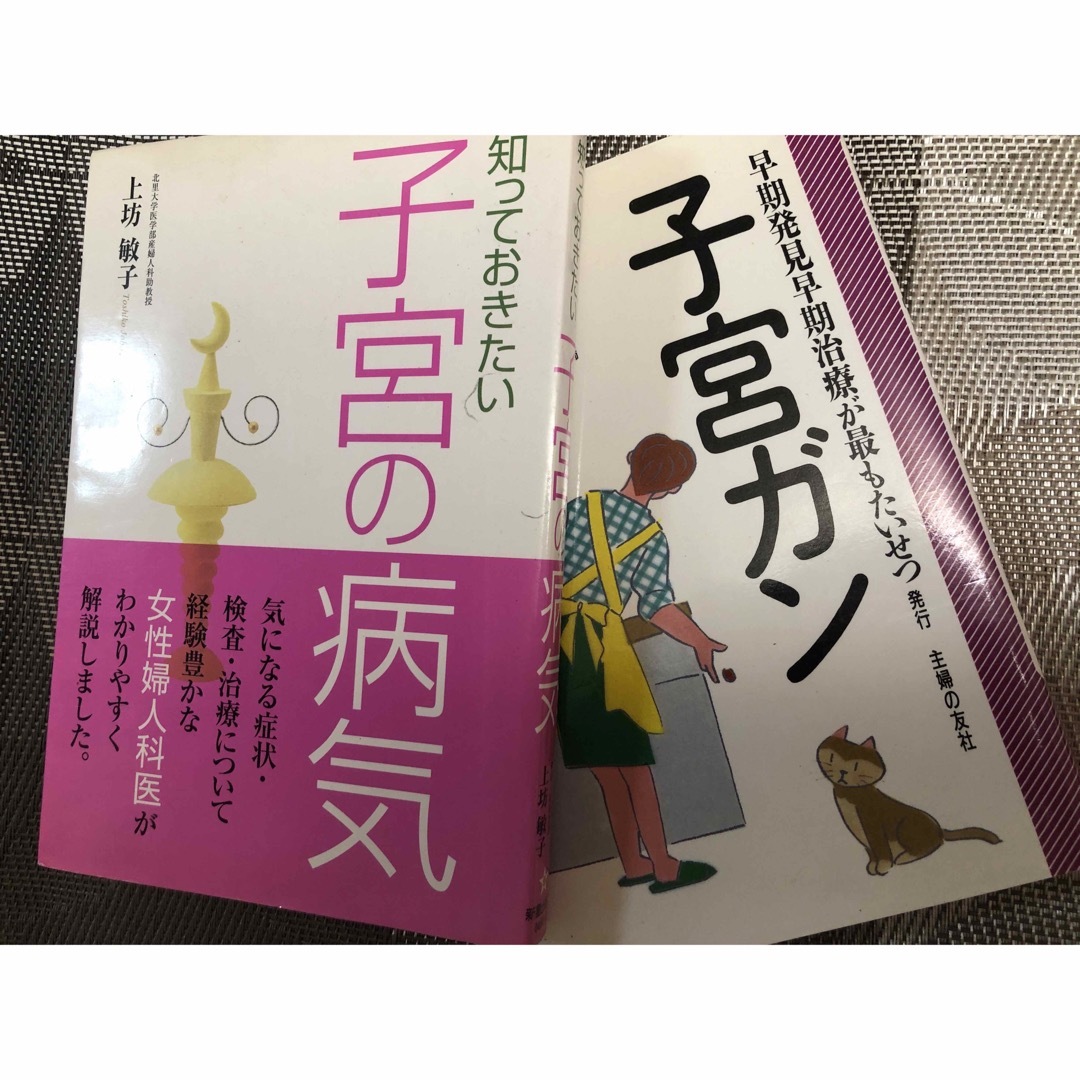 主婦の友社(シュフノトモシャ)の知っておきたい子宮の病気 エンタメ/ホビーの本(健康/医学)の商品写真