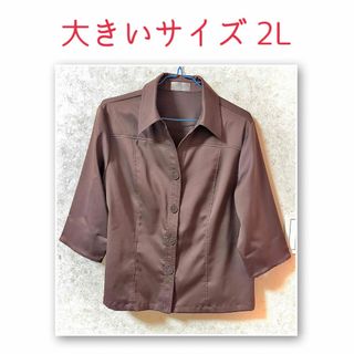 6番 美品 シャツ ブラウス Tシャツ カットソー 光沢 2L(シャツ/ブラウス(長袖/七分))