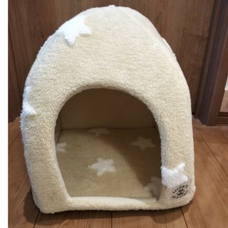 猫ハウス(猫)