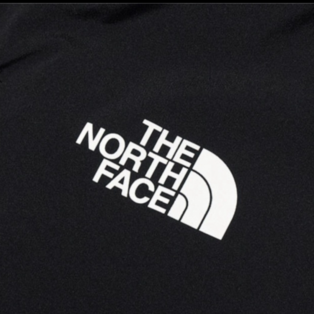 THE NORTH FACE(ザノースフェイス)のthe North Face  新品アウター　スキーウェア スポーツ/アウトドアのスキー(ウエア)の商品写真