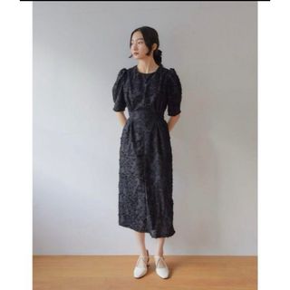 アメリヴィンテージ(Ameri VINTAGE)のAyla  half sleeve lace dress(ロングワンピース/マキシワンピース)