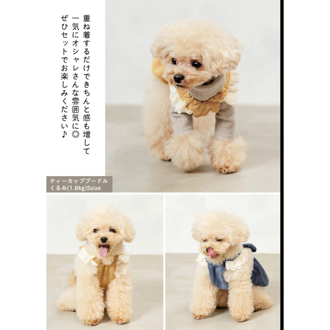 小型犬　服　フリル　サイズS イエローオーカー その他のペット用品(犬)の商品写真