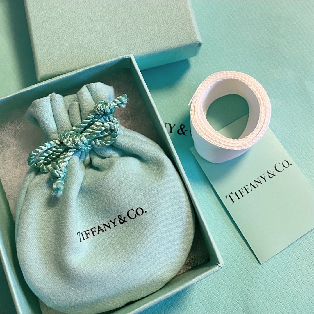 Tiffany & Co.(ティファニー)の本日価格❗美品 TIFFANY&Co. ティアドロップ ピアス ネックレスセット レディースのアクセサリー(ネックレス)の商品写真