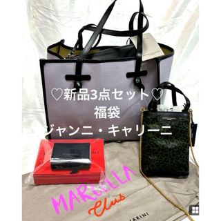 ジャンニキャリーニ(GIANNI CHIARINI)の新生活に♡新品3点福袋♡ ジャンニキャリーニ　 トートバッグ　 ミニ財布　(トートバッグ)