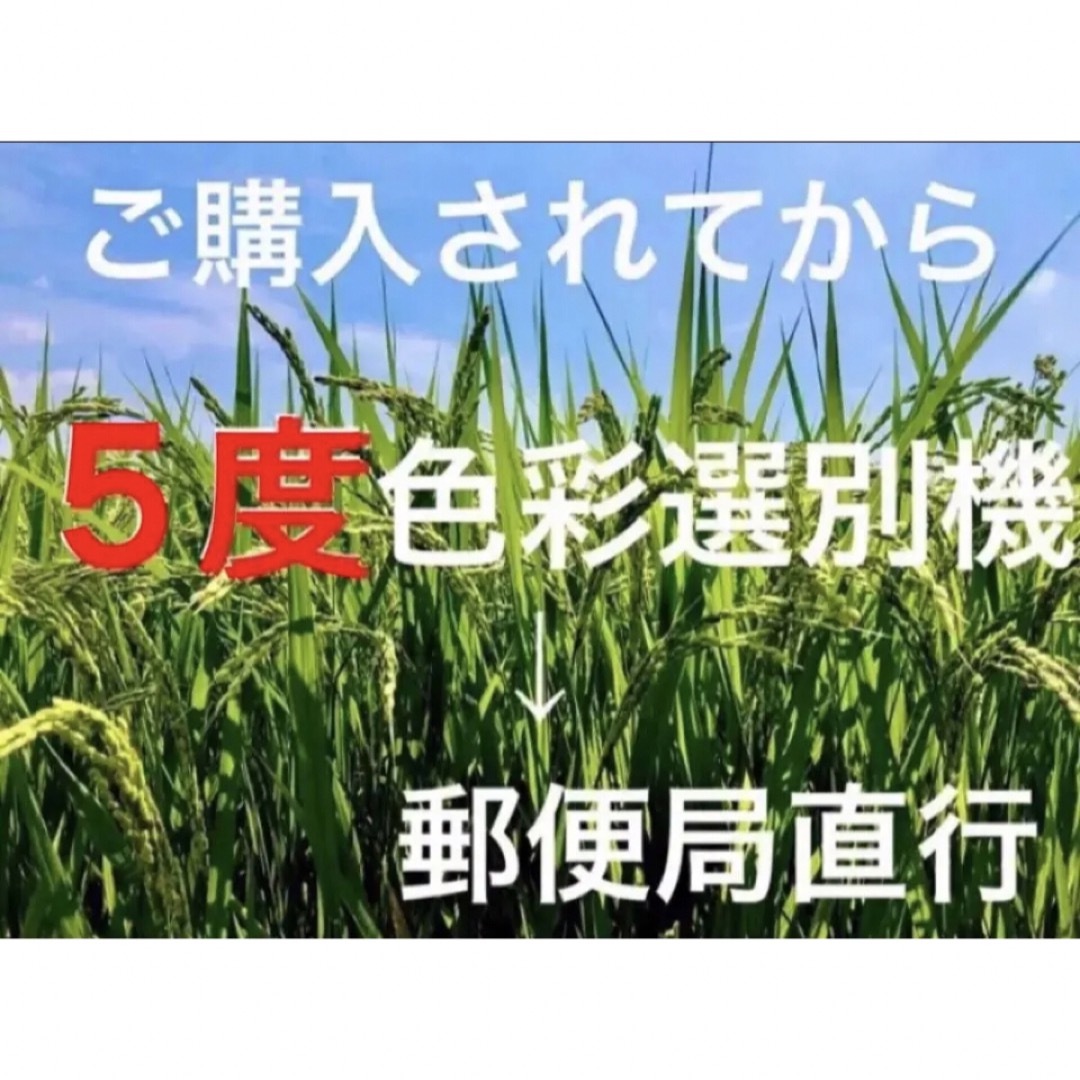 採れたて新米✳️令和５年産✳️５回色彩選別・有機肥料・送料無料ハツシモ20キロ