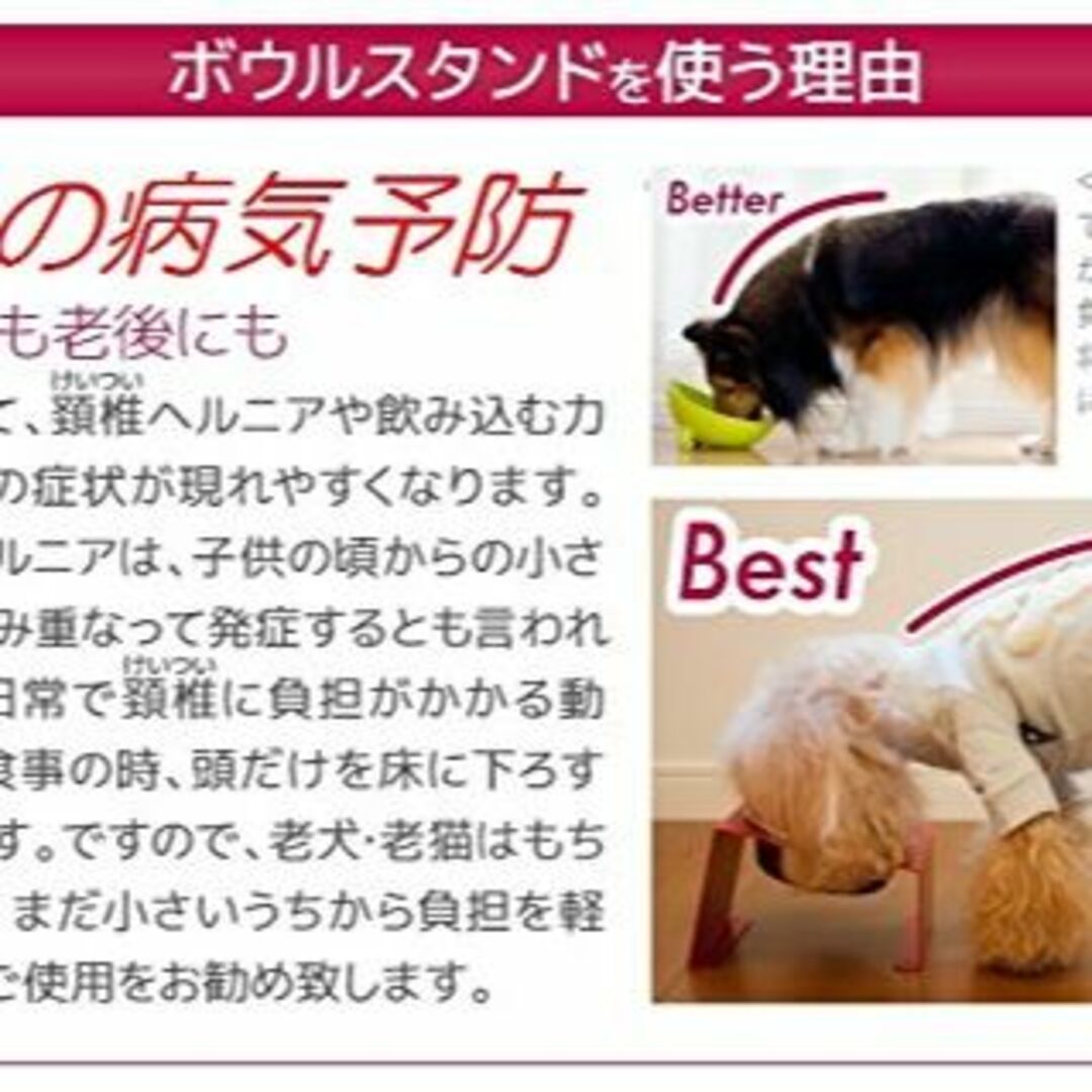 MATUMI (マツミ) アワーズ フレンチブルドッグ専用 フードボウルスタンド犬