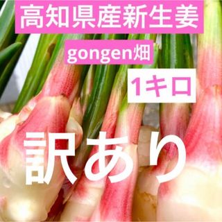 高知県産　訳あり新生姜　1キロ(野菜)