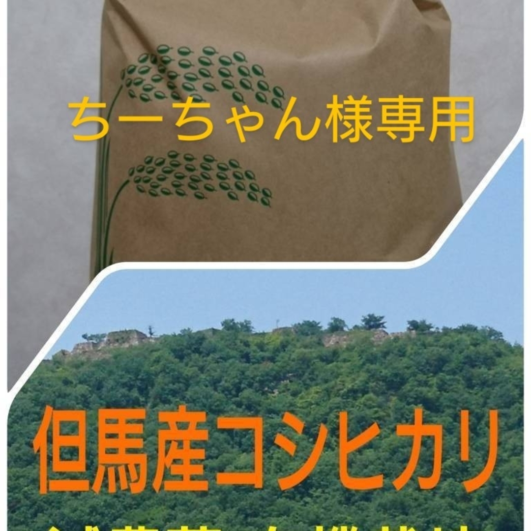 ちーちゃん様専用 食品/飲料/酒の食品(米/穀物)の商品写真