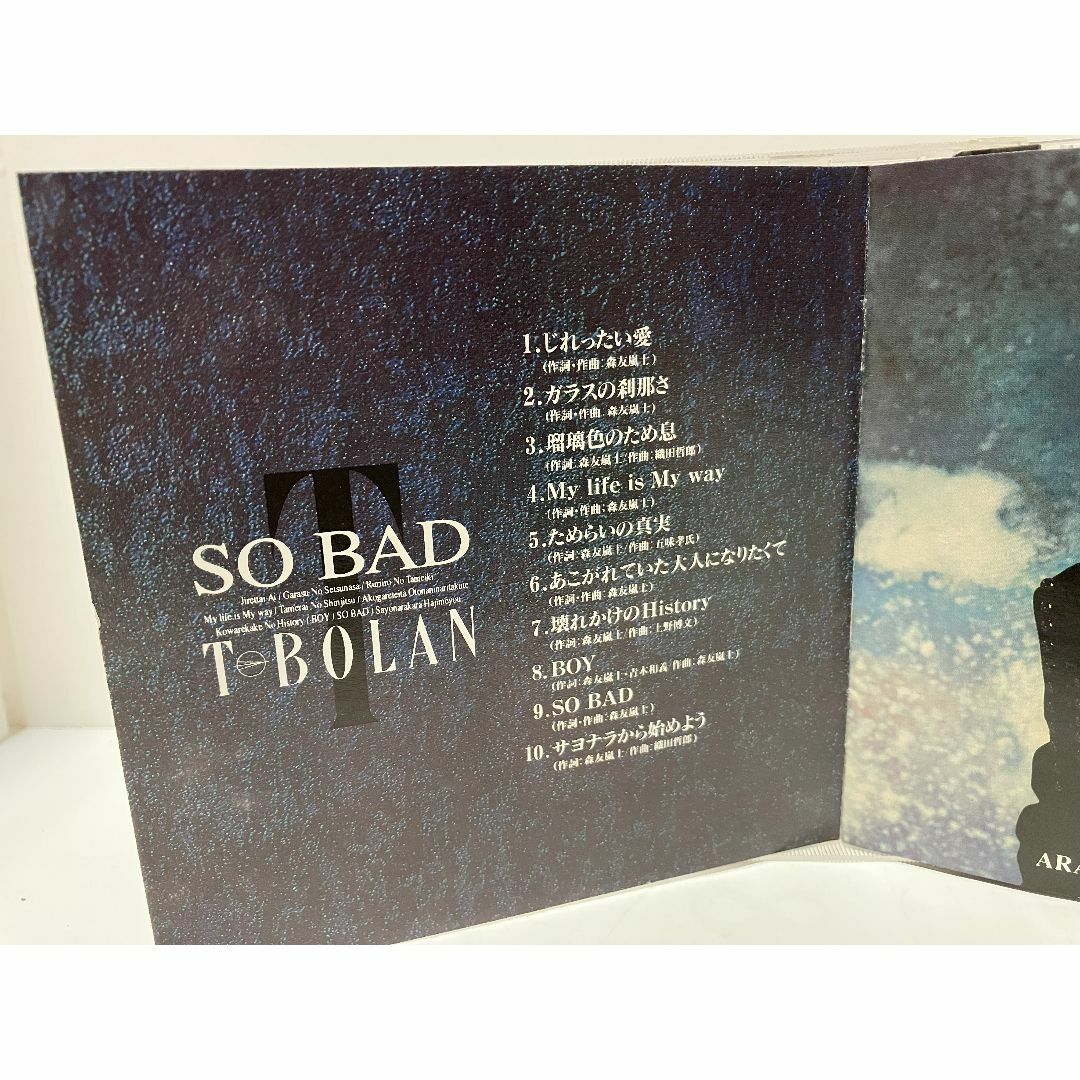 SO BAD / T-BOLAN   CD エンタメ/ホビーのCD(ポップス/ロック(邦楽))の商品写真