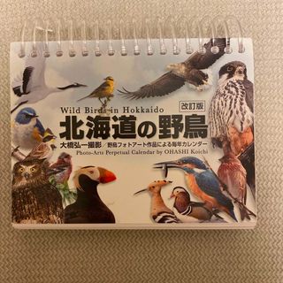 北海道の野鳥カレンダー(カレンダー)