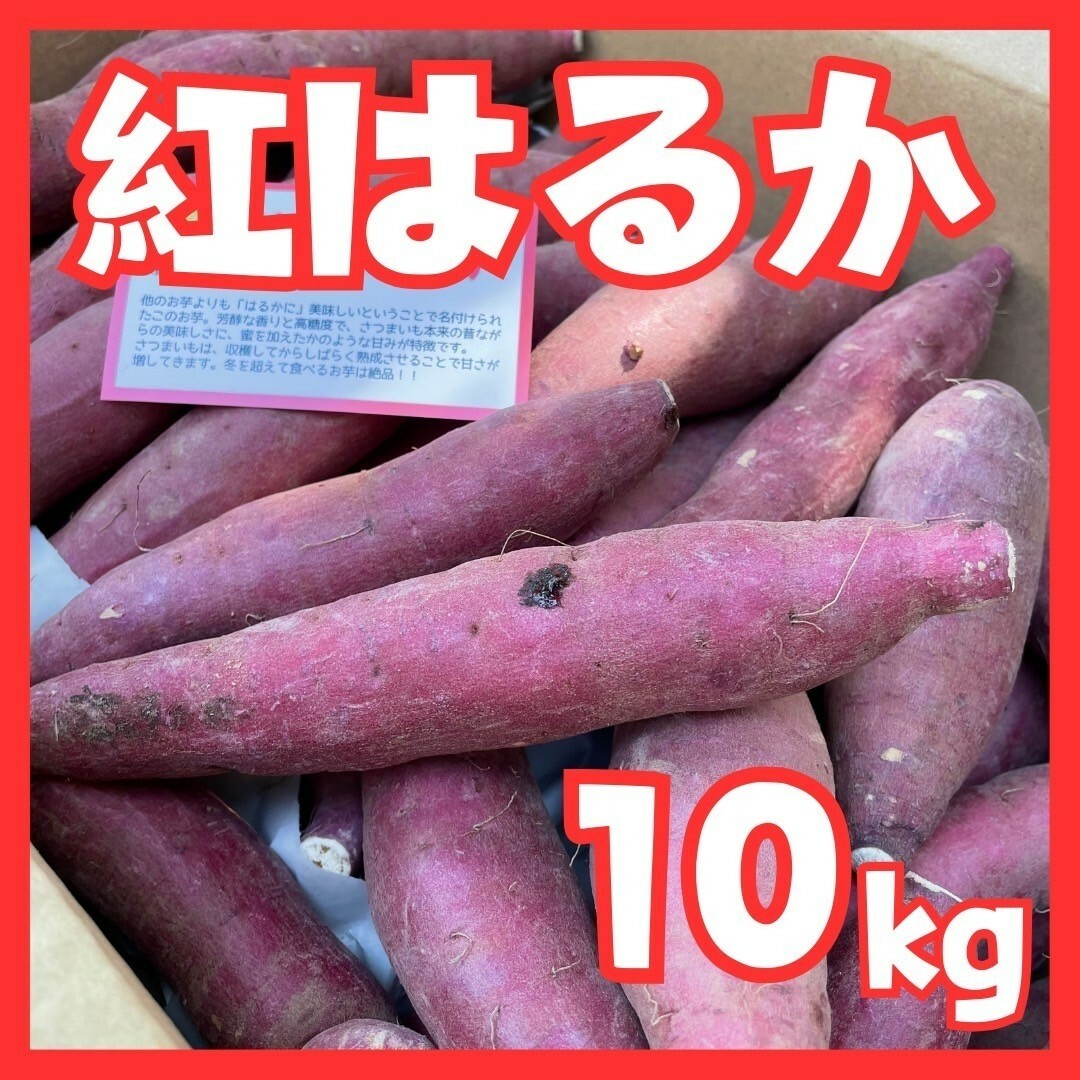 さつまいも紅はるか１０kg 食品/飲料/酒の食品(野菜)の商品写真