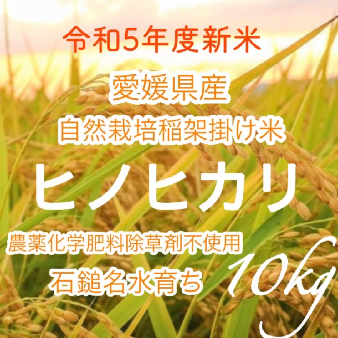 自然栽培 無農薬天日干し米 ヒノヒカリ 10㌔米/穀物 - 米/穀物
