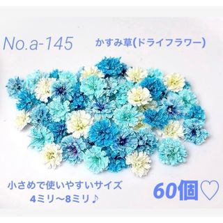 確認用ですNo.a-145かすみ草(ドライフラワー)小さめ4ミリ～6ミリ 60個(ドライフラワー)