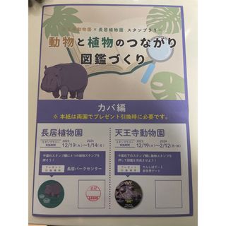 非売品　天王寺動物園×長居植物公園 缶バッジ　カバ　スタンプラリー(バッジ/ピンバッジ)