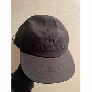 ゴールドウィン(GOLDWIN)のgoldwin alpine codex group キャップ(キャップ)