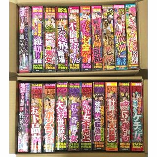 レディースコミックまとめ売り 28冊　(女性漫画)