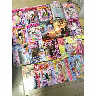 レディースコミックまとめ売り 19冊 2024.1~3月号(女性漫画)