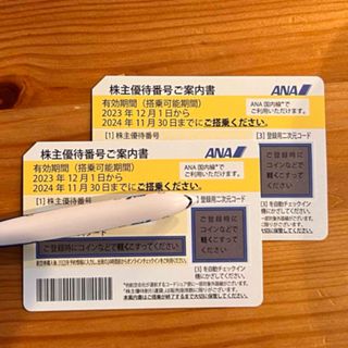 ANA株主優待券2枚➕ANAグループ優待券1冊(その他)