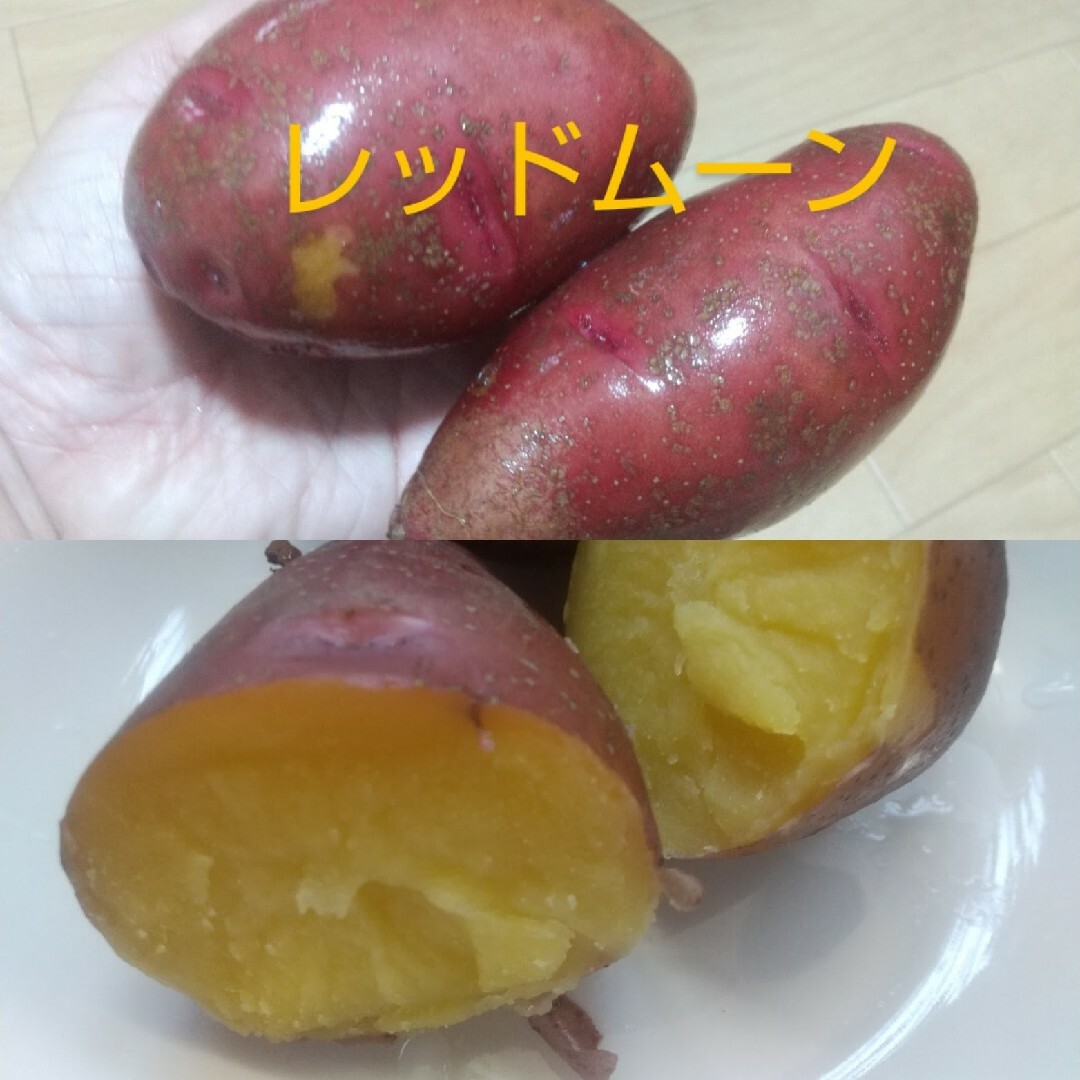 じゃがいも☆箱込み10キロ　品種：レッドムーン 食品/飲料/酒の食品(野菜)の商品写真