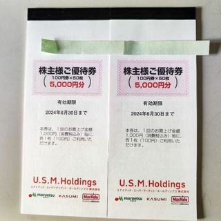 USMH  株主優待券  100円X100枚  匿名配送(ショッピング)