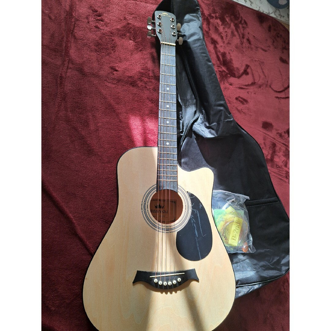 アコギ一式 楽器のギター(アコースティックギター)の商品写真