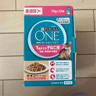 ピュリナ ワン キャットフード パウチ 子ねこ用 チキン グレービー仕立て70g(猫)