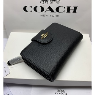 COACH　コーチ　日本未発売　スイカ柄　長財布　限定品　3111