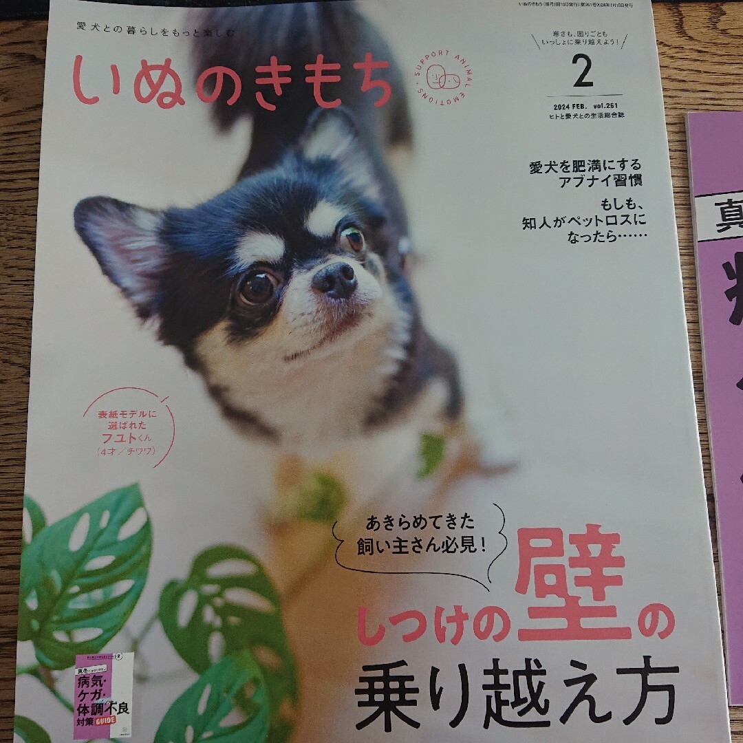 Benesse(ベネッセ)のいぬのきもち2月号、対策ガイド付録つき その他のペット用品(犬)の商品写真