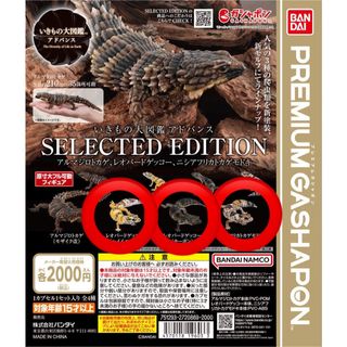 バンダイ(BANDAI)のいきもの大図鑑アドバンス SELECTED EDITION 3種セット　レオパ(その他)