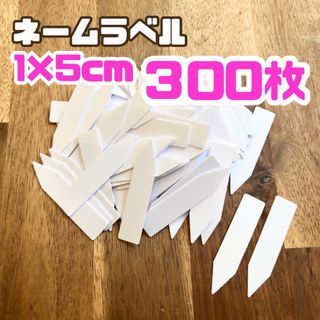 ネームラベル 園芸 ネームプレート ラベル 300枚 ホワイト 観葉ガーデニング(その他)