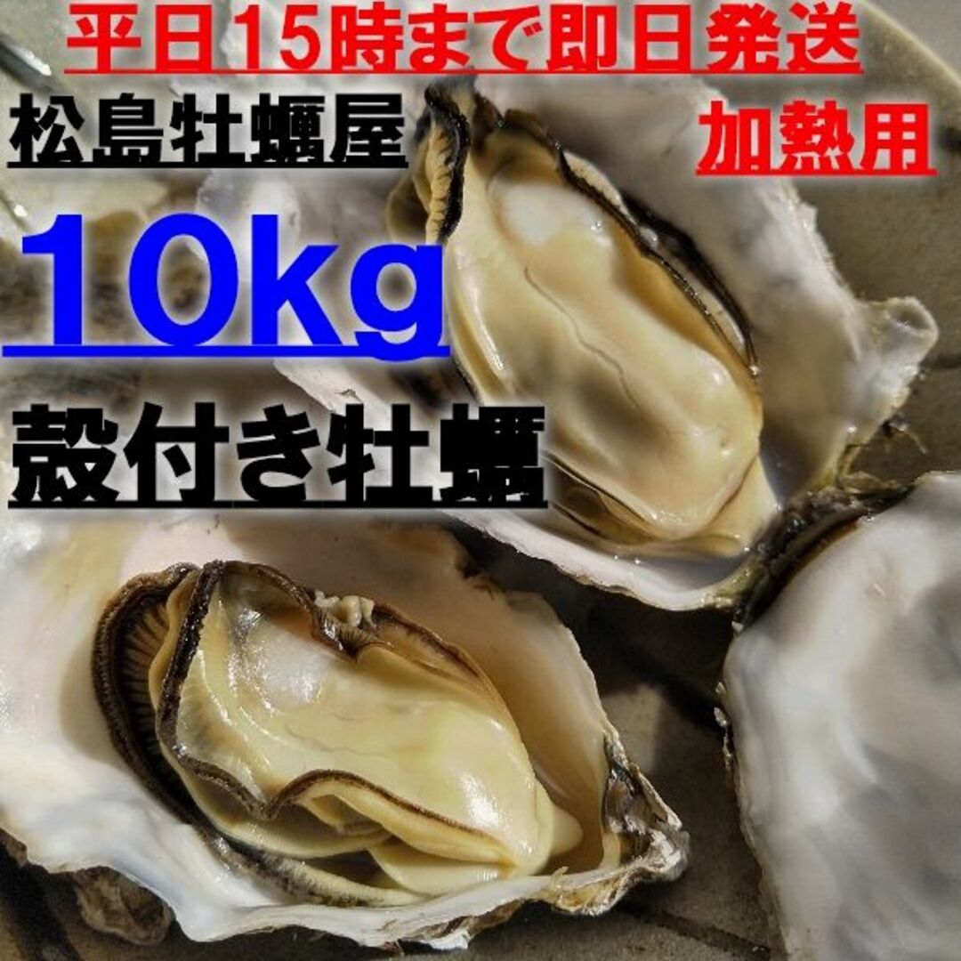 即日発送も可能 牡蠣 １０ｋｇ 殻付き 牡蠣 殻付き  牡蠣 殻付 加熱用牡蠣カンカン焼き