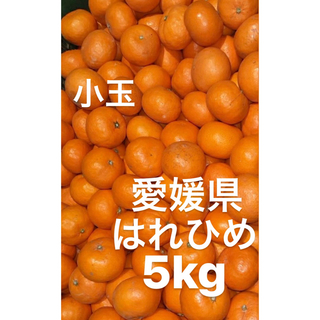 愛媛県産　はれひめ　柑橘　5kg(フルーツ)