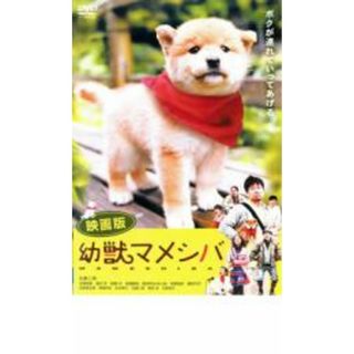 【中古】DVD▼映画版 幼獣マメシバ▽レンタル落ち(日本映画)