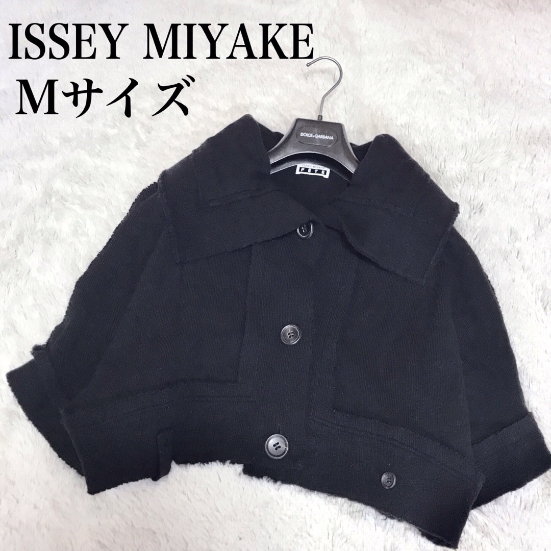 ISSEY MIYAKE(イッセイミヤケ)の美品 イッセイミヤケフェット ジャケット ドルマン ウール レディースのジャケット/アウター(テーラードジャケット)の商品写真