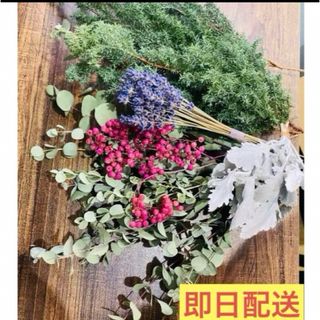 ドライフラワー　花材　ユーカリ　コニファー　シルバーリーフ　まとめ売り(ドライフラワー)