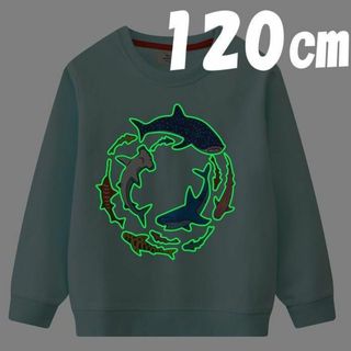 トレーナー 120㎝ 光る✨蓄光 キッズ サメ シャーク 水色 長袖 スウェット(Tシャツ/カットソー)