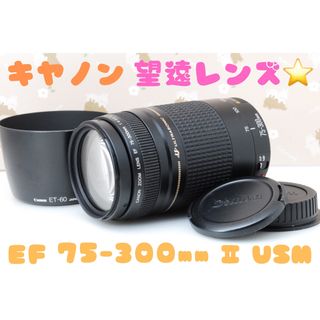 Canon - 望遠レンズ❤️Canon EF 75-300mm F4.0-5.6 USM Ⅱの通販｜ラクマ