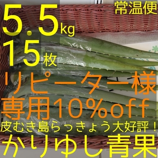 【リピーター様10％off】沖縄県産アロエベラ5.5kg以上（15枚以上）常温②(野菜)