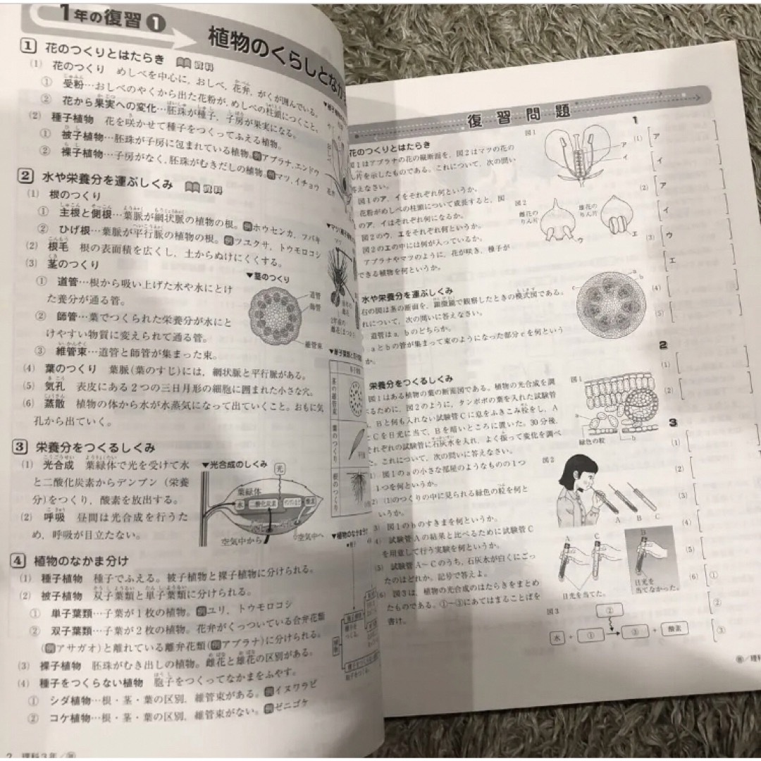 未使用ワーク理科数学中2中3解説確認テスト資料集教科書対策テスト エンタメ/ホビーの本(語学/参考書)の商品写真