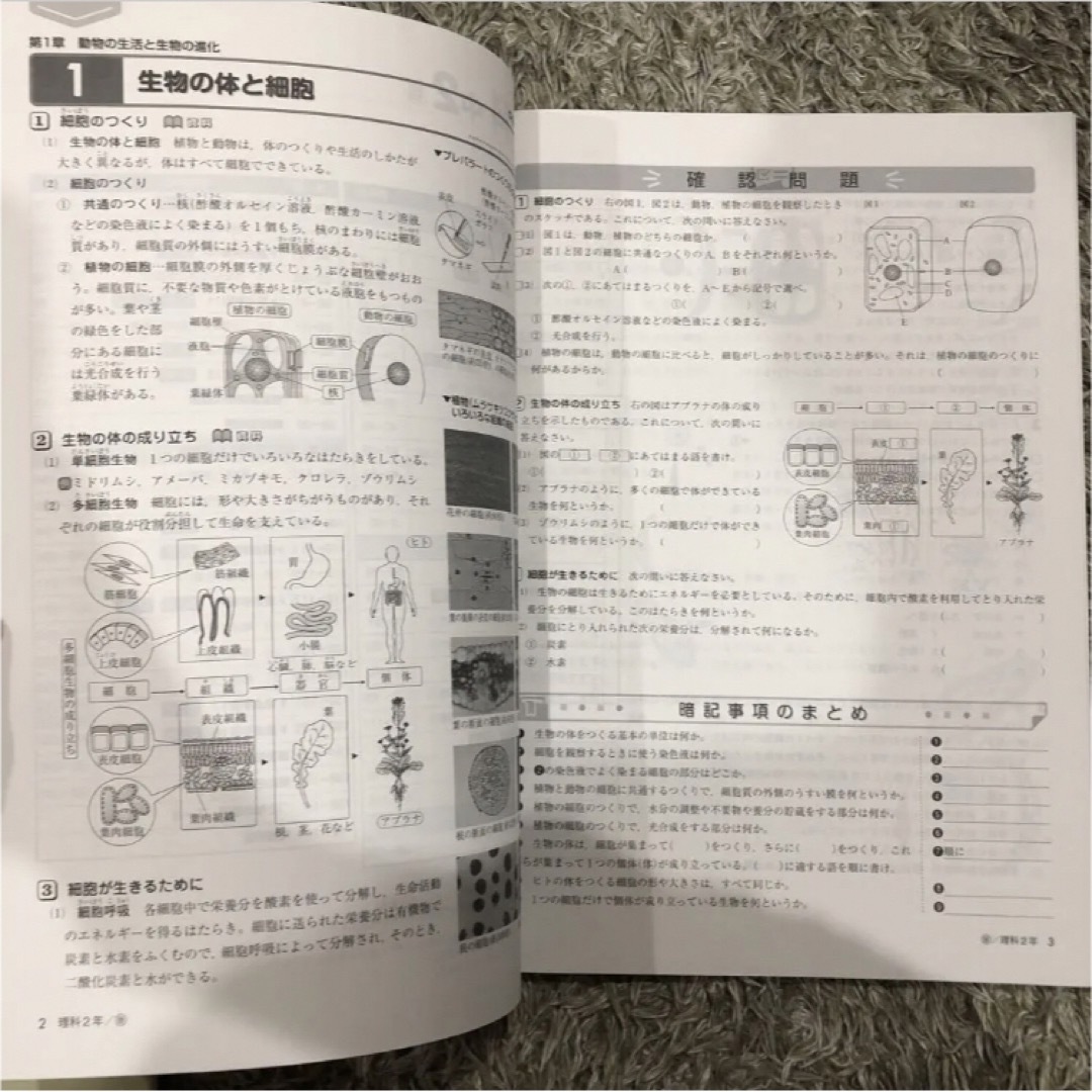 未使用ワーク理科数学中2中3解説確認テスト資料集教科書対策テスト エンタメ/ホビーの本(語学/参考書)の商品写真