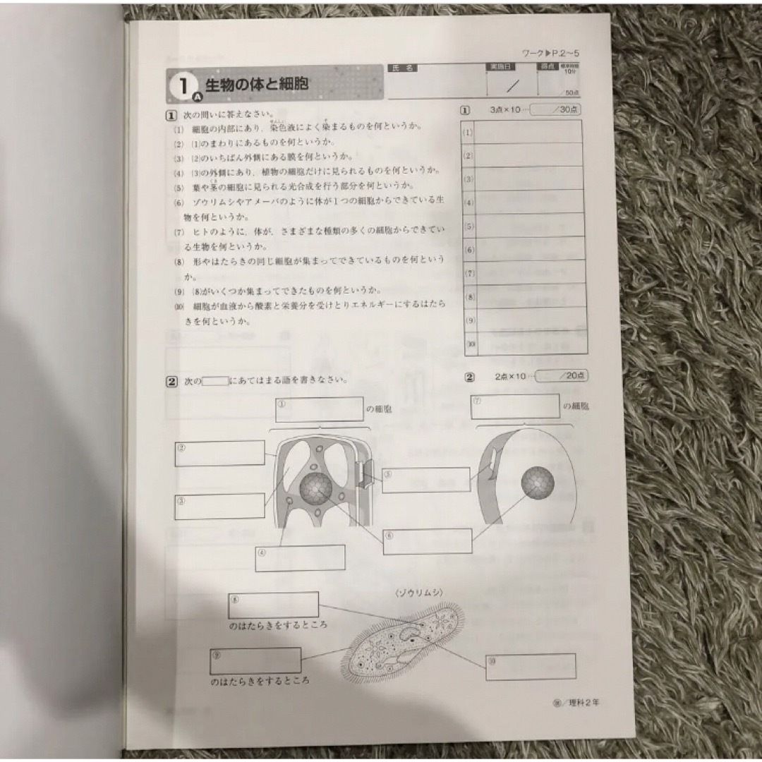 未使用ワーク理科数学中2中3解説確認テスト資料集教科書対策テスト エンタメ/ホビーの本(語学/参考書)の商品写真