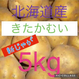 北海道産訳ありじゃがいも　きたかむい5kg(野菜)