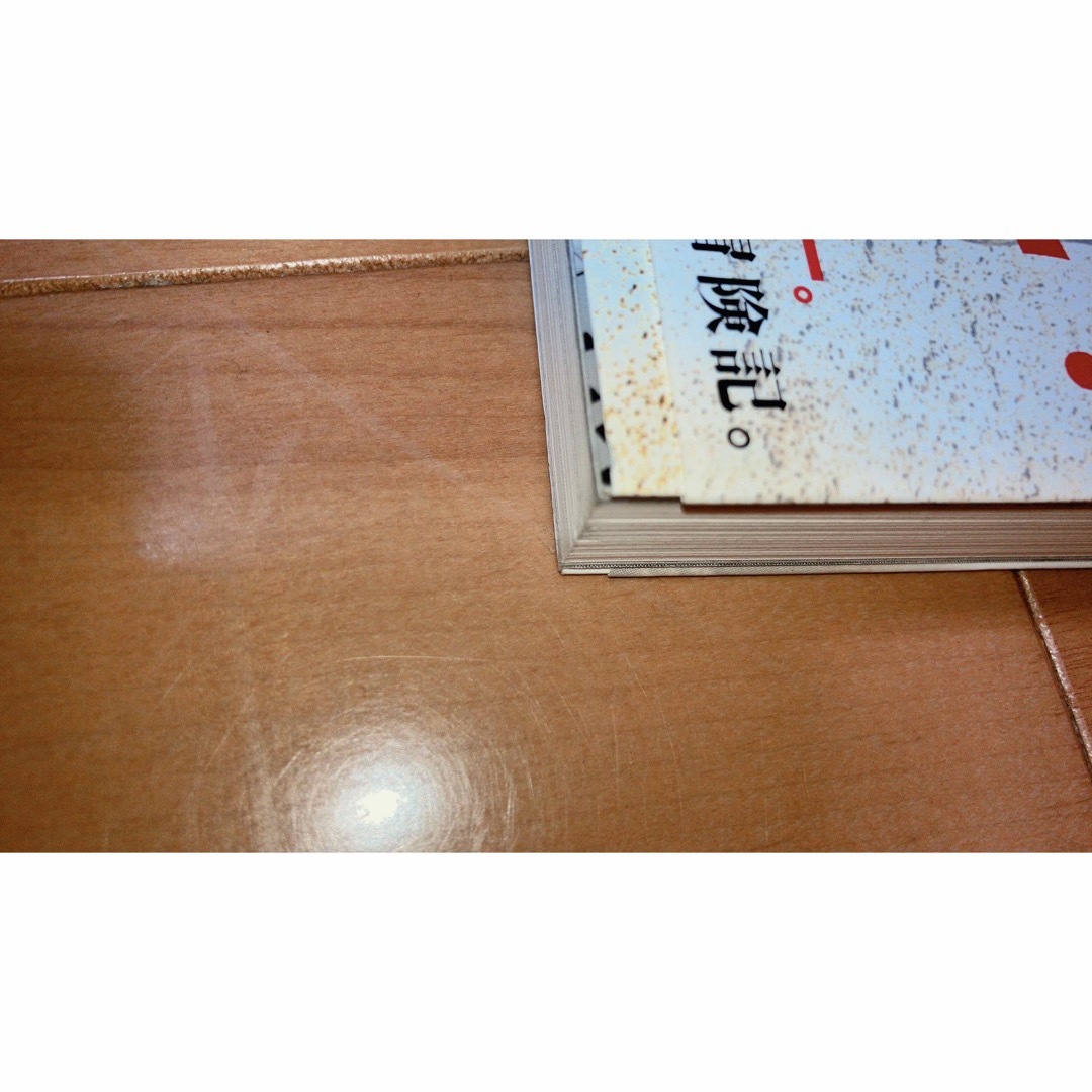 ピンポンダッシュ : 飯塚健冒険記 サンクチュアリ エンタメ/ホビーの本(文学/小説)の商品写真
