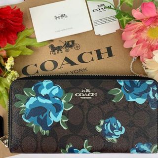 コーチ(COACH)のCOACH コーチ 長財布 シグネチャー ダークブラウン ブルー バラ(財布)