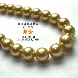 オーロラ茶金10,1mmx13,7mm(ネックレス)