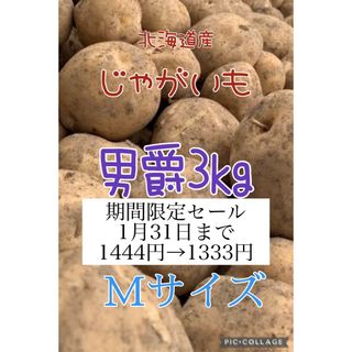 北海道産じゃがいも男爵3kg(野菜)