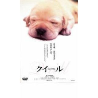 【中古】DVD▼クイール▽レンタル落ち(日本映画)