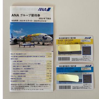 エーエヌエー(ゼンニッポンクウユ)(ANA(全日本空輸))のANA 株主優待券 2枚(その他)