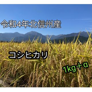 令和4年長野産コシヒカリ1kg　＋おまけ120g(米/穀物)