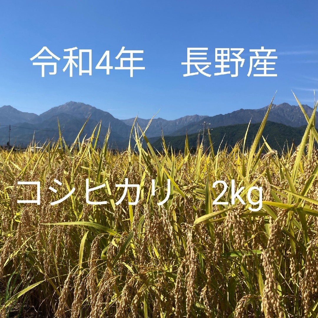 令和4年長野産コシヒカリ　ゆうパケットポスト箱込みで2kg 食品/飲料/酒の食品(米/穀物)の商品写真